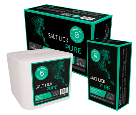 Equisalt Salt Lick Pure 2kg Snoepjes en likstenen - Maddelin Equestrian Equisalt