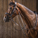 Eric Thomas Pro Chambon Hulpteugels - Maddelin Equestrian
