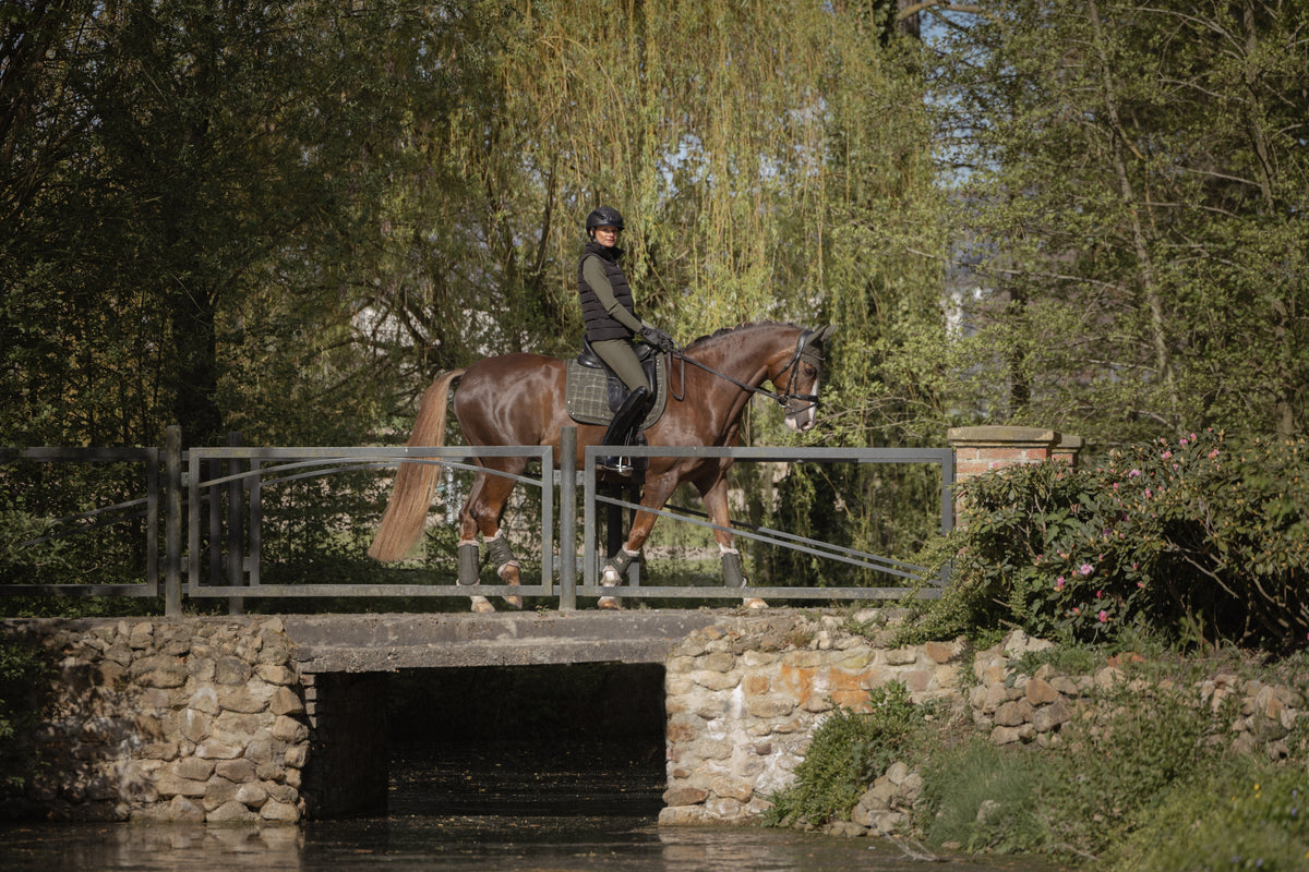 Eskadron Heritage 2026 Bouclé Crystal Zadeldek