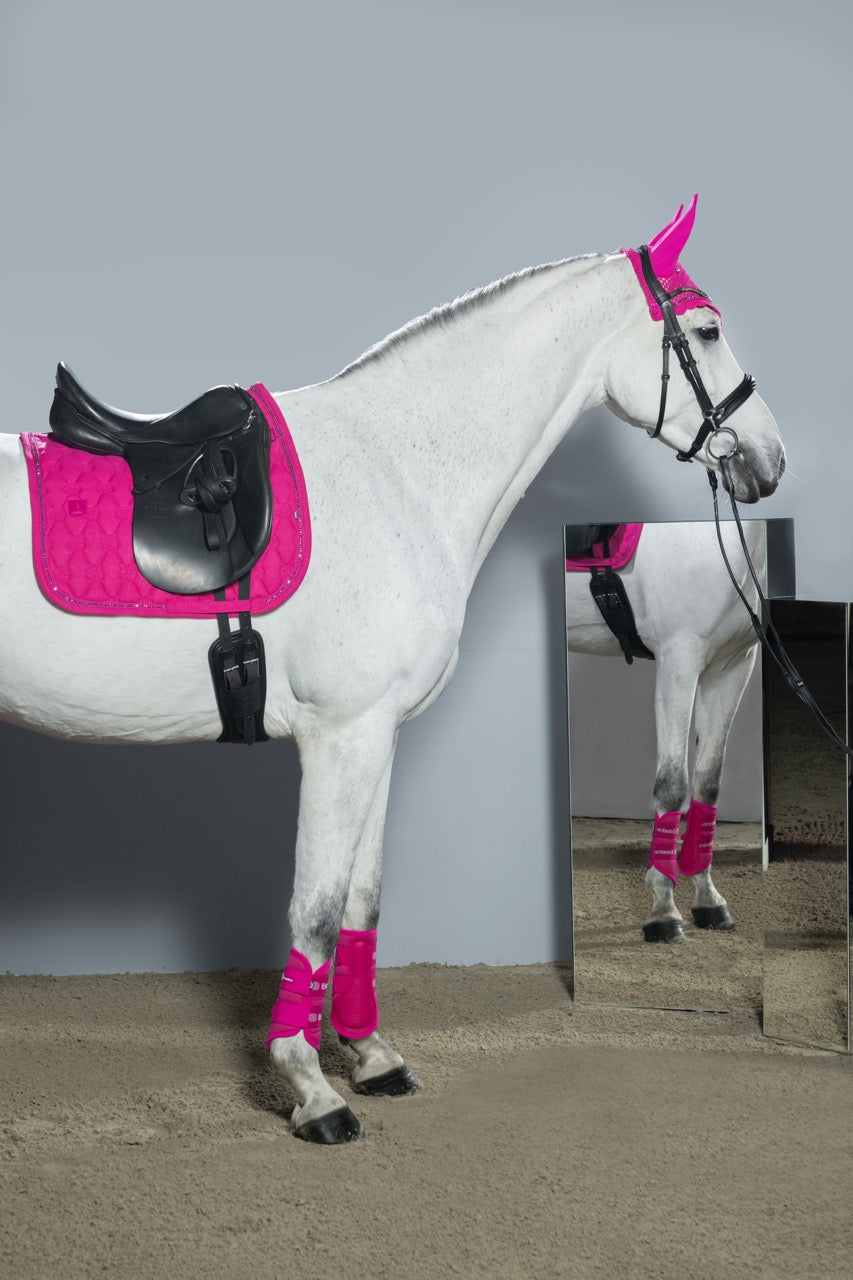 Eskadron Crystal Oornetje Dynamic 26