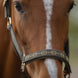 Eskadron Heritage 2026 Sparkle Double Pin Halster
