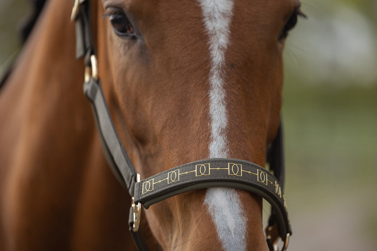 Eskadron Heritage 2026 Sparkle Double Pin Halster