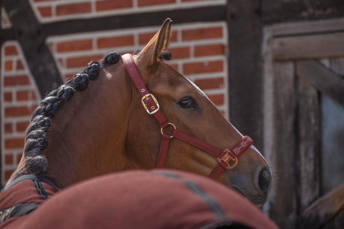 Eskadron Heritage 2026 Sparkle Double Pin Halster