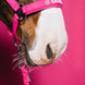 Eskadron Softshell Double Pin Headcollar Dynamic 26