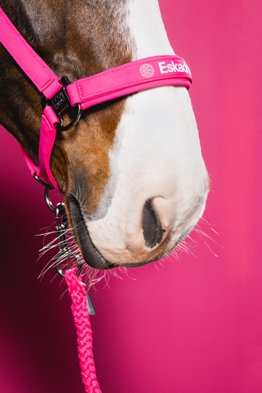 Eskadron Softshell Double Pin Headcollar Dynamic 26