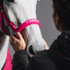 Eskadron Softshell Double Pin Headcollar Dynamic 26