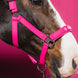 Eskadron Softshell Double Pin Headcollar Dynamic 26