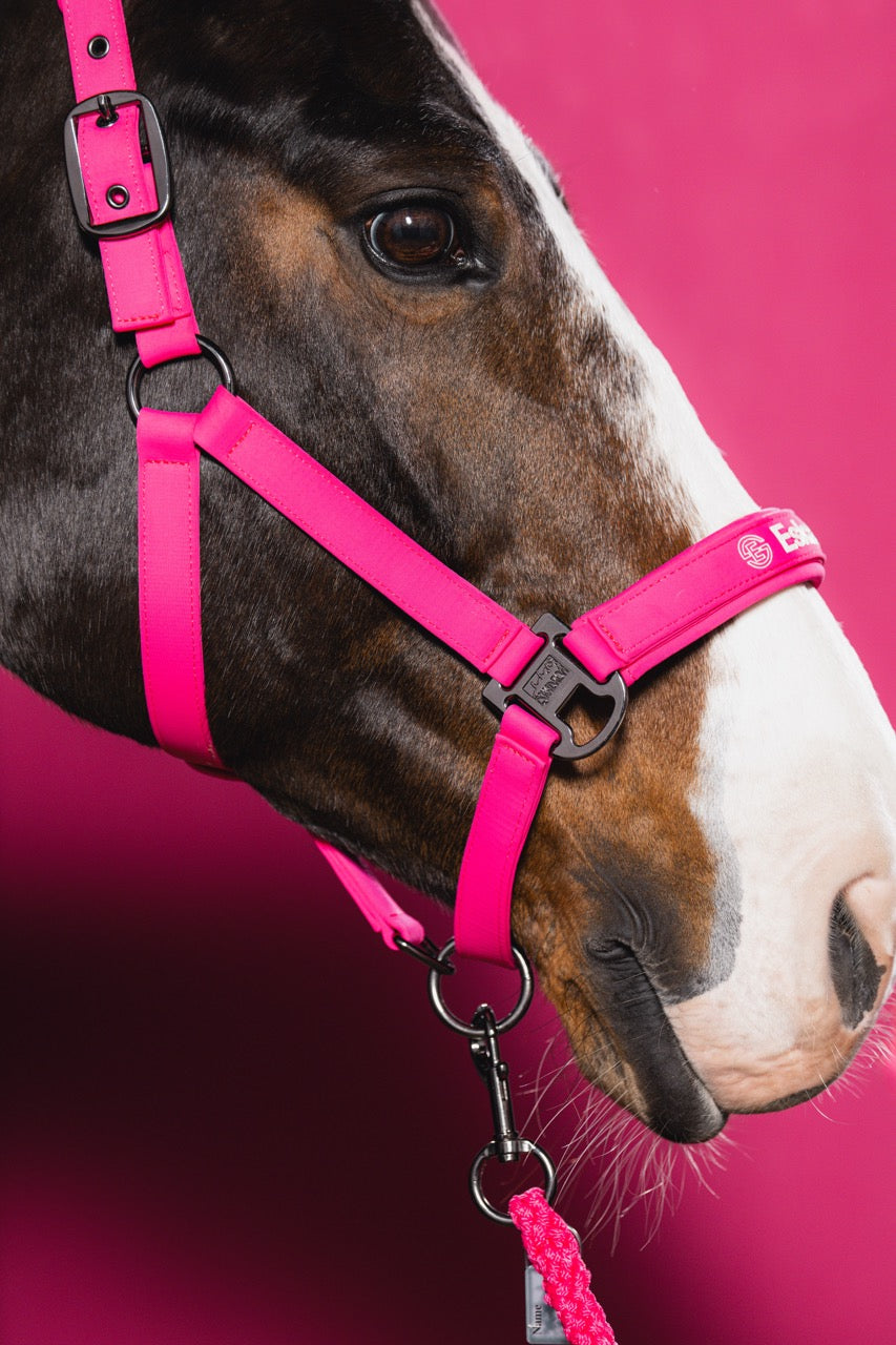 Eskadron Softshell Double Pin Headcollar Dynamic 26