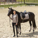 Eskadron Heritage 2026 Sparkle Crystal Zadeldek