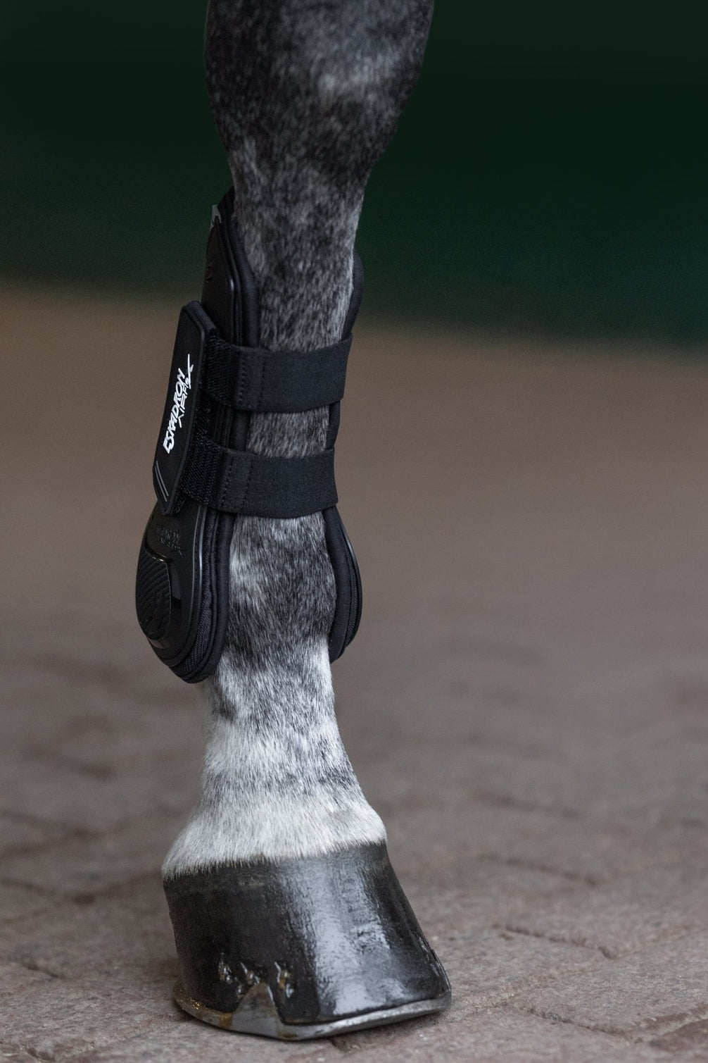 Eskadron AIR-FLEX Classic Peesbeschermers Peesbeschermers - Maddelin Equestrian Eskadron