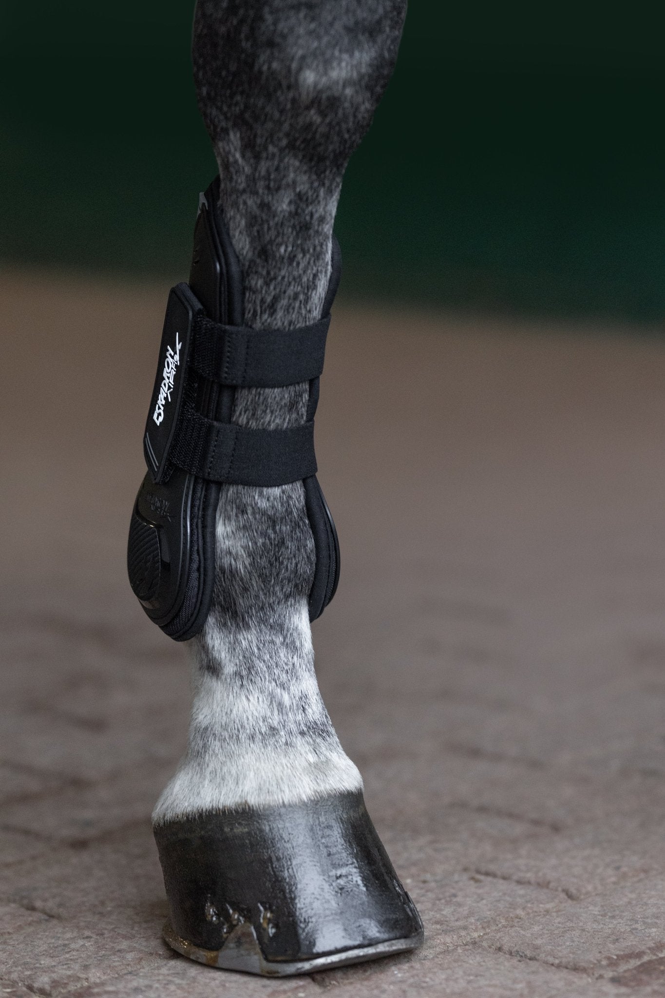 Eskadron AIR-FLEX Classic Peesbeschermers Peesbeschermers - Maddelin Equestrian Eskadron
