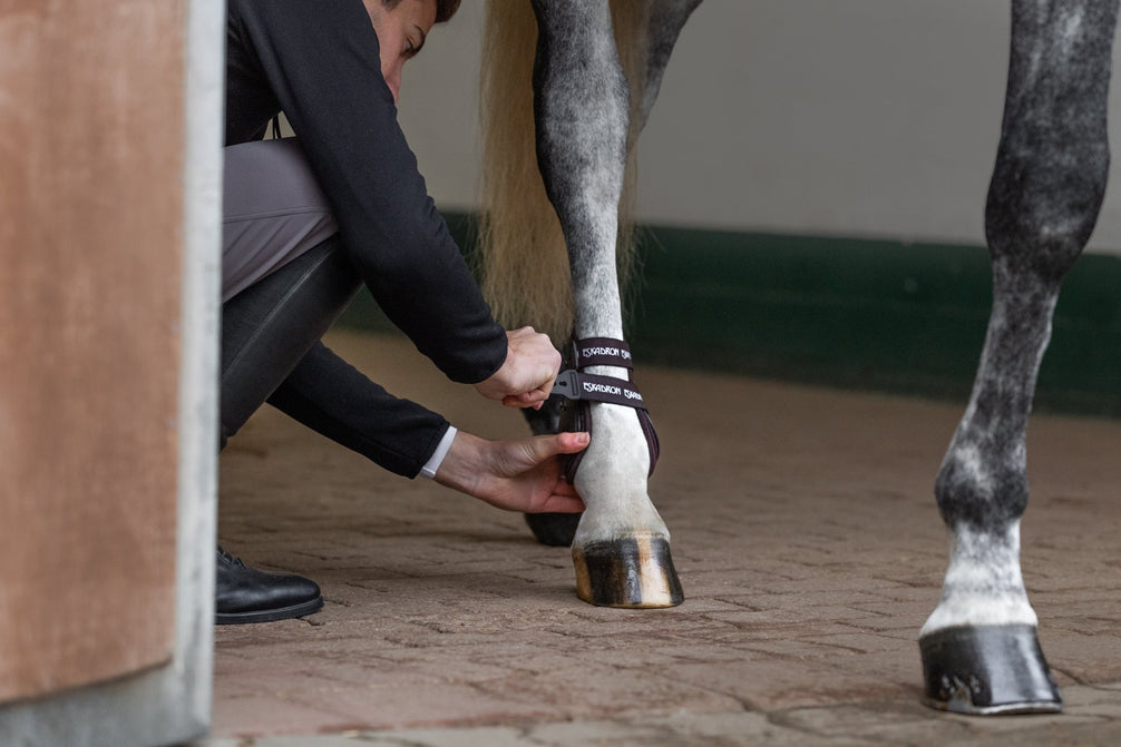 Eskadron AIR-FLEX Sport Kogelbeschermers Kogelbeschermers - Maddelin Equestrian Eskadron