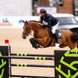 Eskadron AIR-FLEX Sport Peesbeschermers Peesbeschermers - Maddelin Equestrian Eskadron