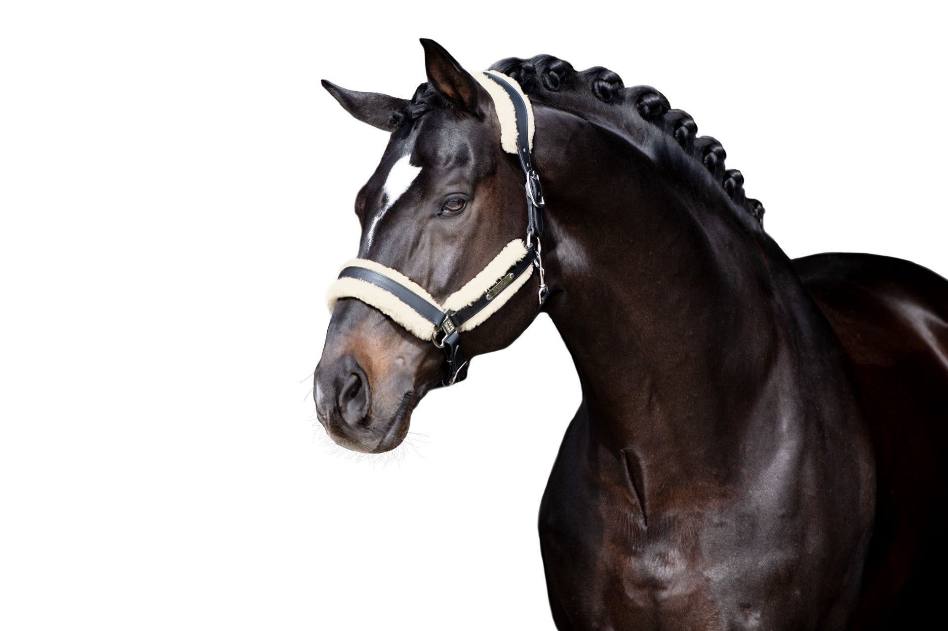 Eskadron Faux Fur Set Stallion Halster met wol of faux fur - Maddelin Equestrian Eskadron