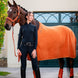 Eskadron Halster Faux Leather Jewel Double Pin Platinum 26/27 Nylon halsters - Maddelin Equestrian