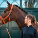 Eskadron Halster Faux Leather Jewel Double Pin Platinum 26/27 Nylon halsters - Maddelin Equestrian
