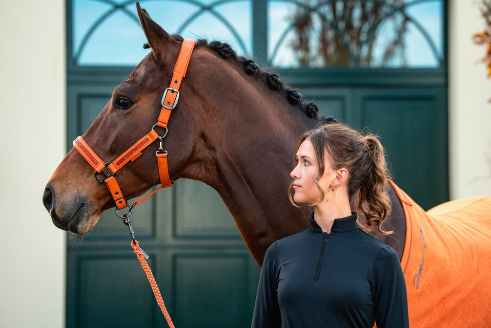 Eskadron Halster Faux Leather Jewel Double Pin Platinum 26/27 Nylon halsters - Maddelin Equestrian