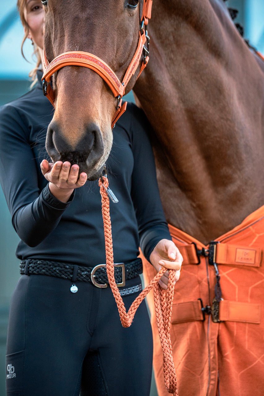 Eskadron Halster Faux Leather Jewel Double Pin Platinum 26/27 Nylon halsters - Maddelin Equestrian