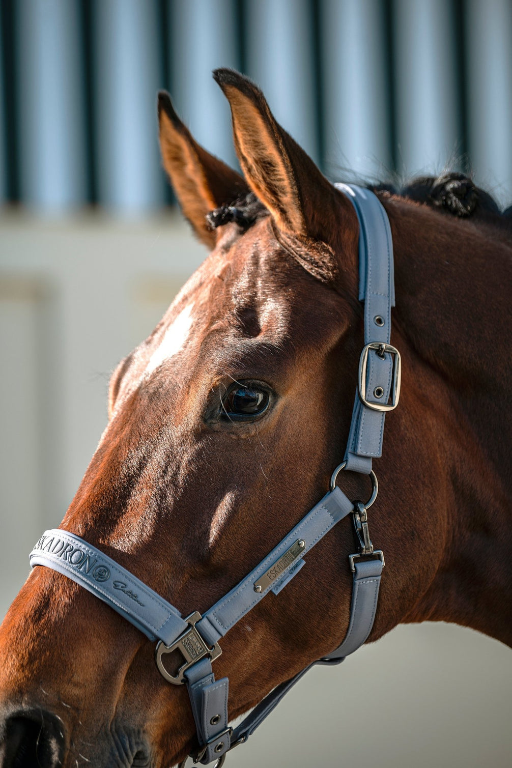 Eskadron Halster Sparkle Double Pin Platinum 26/27 Nylon halsters - Maddelin Equestrian