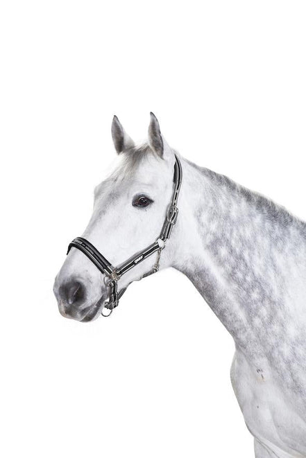 Eskadron Headcollar Pin Buckle Nylon halsters - Maddelin Equestrian Eskadron