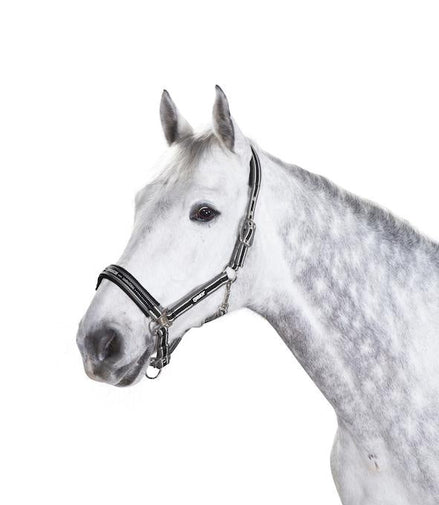 Eskadron Headcollar Pin Buckle Nylon halsters - Maddelin Equestrian Eskadron