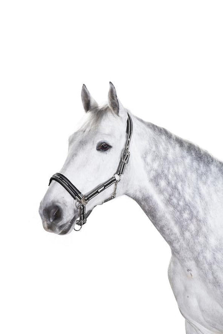 Eskadron Headcollar Pin Buckle Nylon halsters - Maddelin Equestrian Eskadron