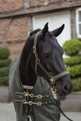 Eskadron Heritage 2026 Beta 150g Outdoordeken Outdoordeken - Maddelin Equestrian