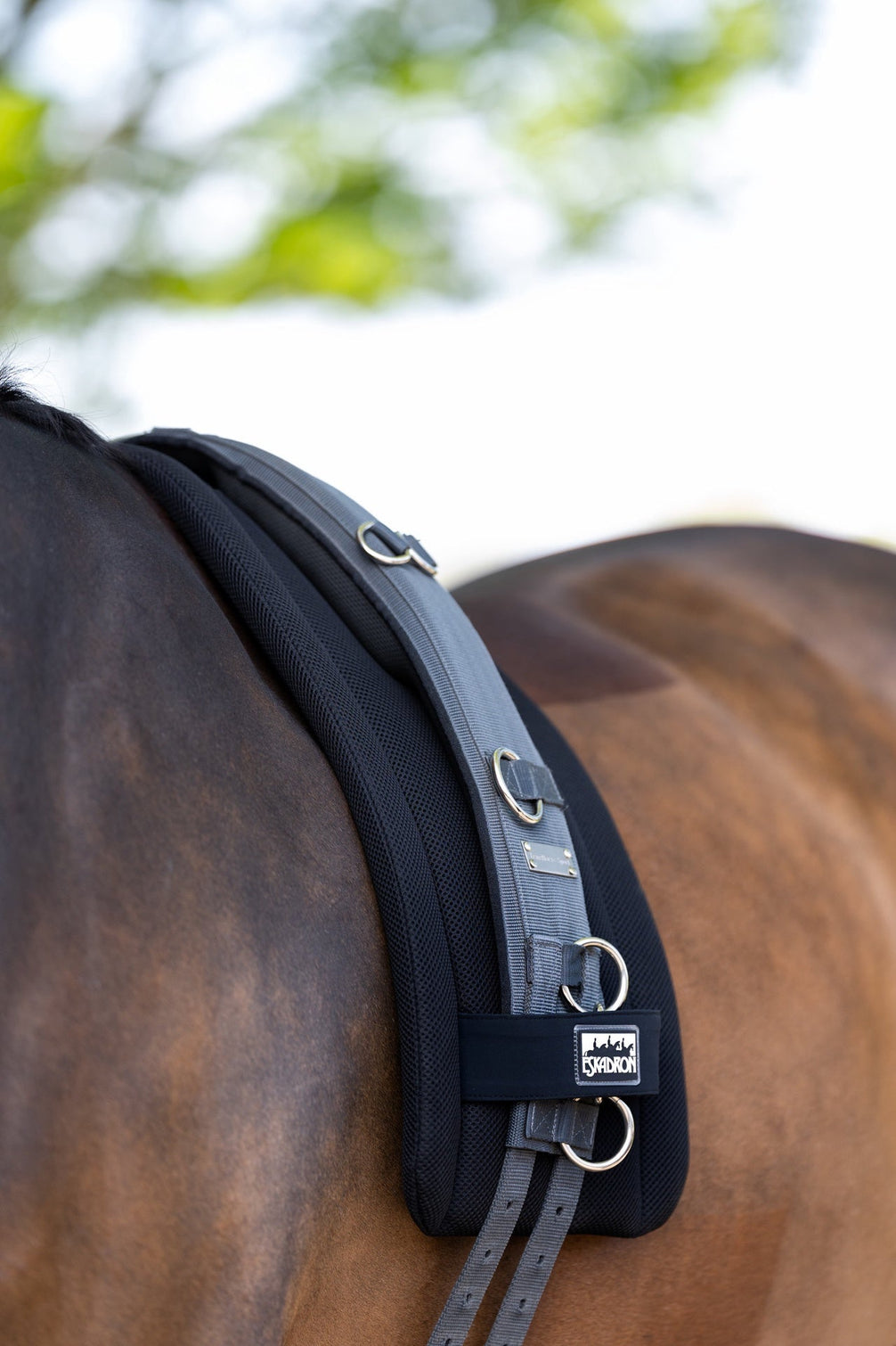 Eskadron Lunging Pad Mesh Longeerbenodigdheden - Maddelin Equestrian Eskadron
