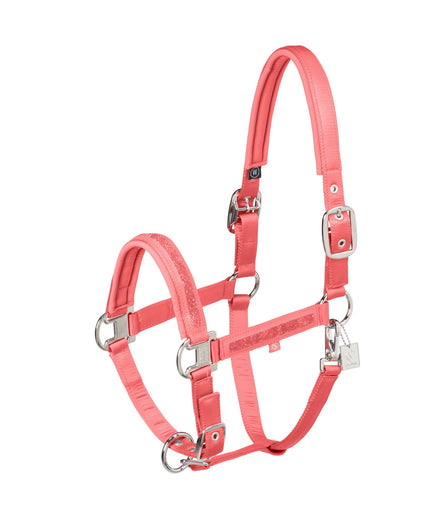 Eskadron Mattgloss Jewel Double Pin Halster Classic Sports 25 Nylon halsters - Maddelin Equestrian Eskadron