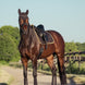 Eskadron Zadeldek Cotton Glitter Crystal Heritage 25/26 Zadeldoeken - Maddelin Equestrian Eskadron