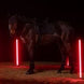 Eskadron Zadeldek Sparkle Crystal Dynamic 25 Zadeldoeken - Maddelin Equestrian Eskadron