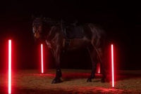 Eskadron Zadeldek Sparkle Crystal Dynamic 25 Zadeldoeken - Maddelin Equestrian Eskadron