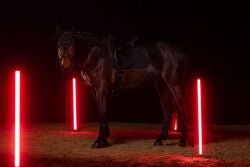 Eskadron Zadeldek Sparkle Crystal Dynamic 25 Zadeldoeken - Maddelin Equestrian Eskadron