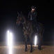 Eskadron Zadeldek Sparkle Crystal Dynamic 25 Zadeldoeken - Maddelin Equestrian Eskadron