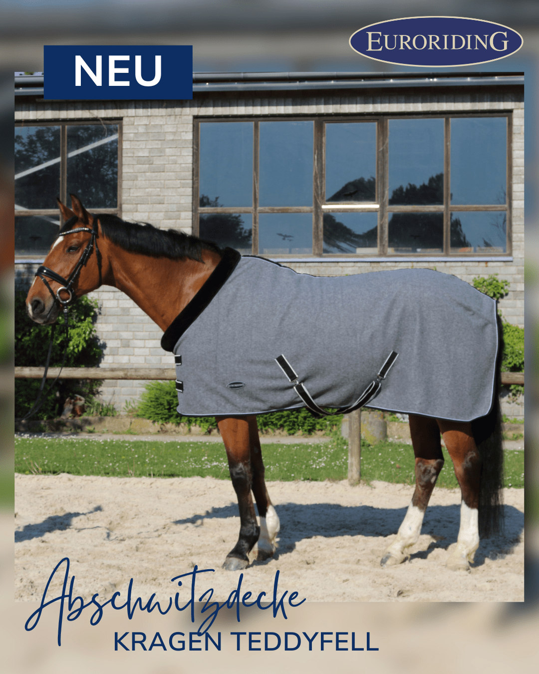 Euroriding Fleece Rug met Teddykraag Zweetdekens - Maddelin Equestrian Euroriding