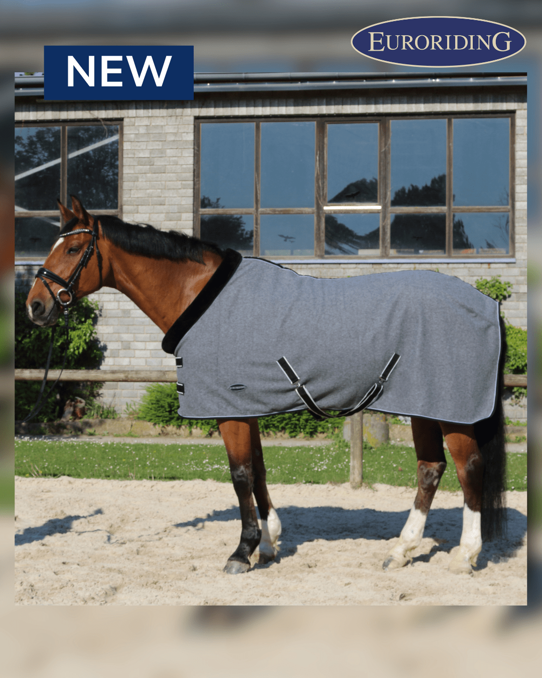 Euroriding Fleece Rug met Teddykraag Zweetdekens - Maddelin Equestrian Euroriding