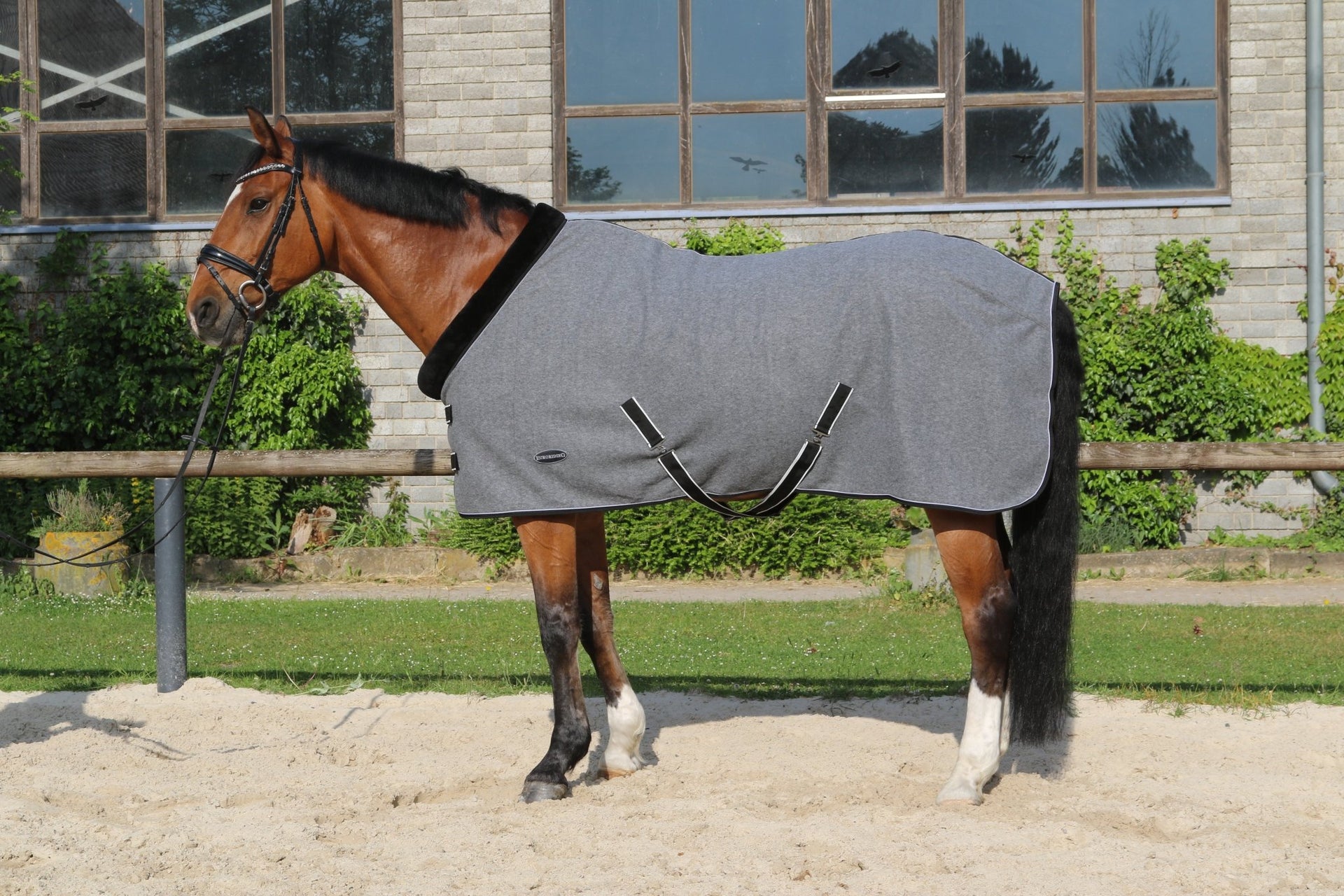 Euroriding Fleece Rug met Teddykraag Zweetdekens - Maddelin Equestrian Euroriding
