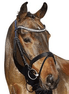 Euroriding Hoofdstel La Rochelle English Comb. Noseband Trenshoofdstellen - Maddelin Equestrian Euroriding