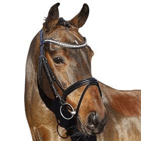 Euroriding Hoofdstel La Rochelle English Comb. Noseband Trenshoofdstellen - Maddelin Equestrian Euroriding