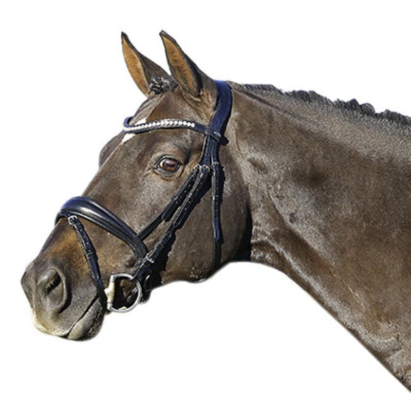 Euroriding Hoofdstel La Rochelle met Zweedse Neusriem Trenshoofdstellen - Maddelin Equestrian Euroriding