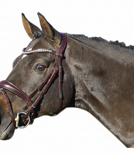 Bride Euroriding La Rochelle avec muserolle suédoise