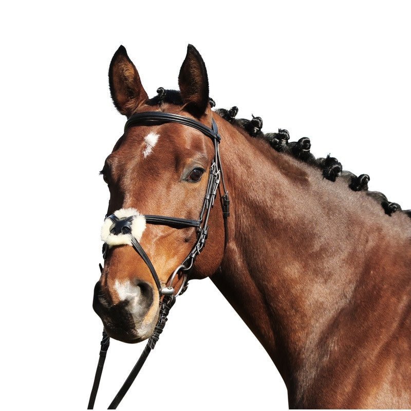 Euroriding Hoofdstel Paris Padded Head PC Mexican Noseband Trenshoofdstellen - Maddelin Equestrian Euroriding