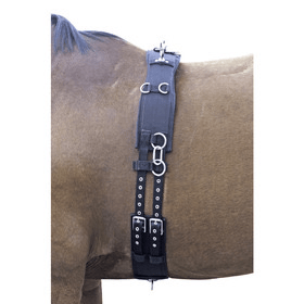 Euroriding Longeersingel Full Longeerbenodigdheden - Maddelin Equestrian Euroriding