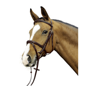 Euroriding Trenshoofdstel Milwaukee Witte Stikking Trenshoofdstellen - Maddelin Equestrian Euroriding