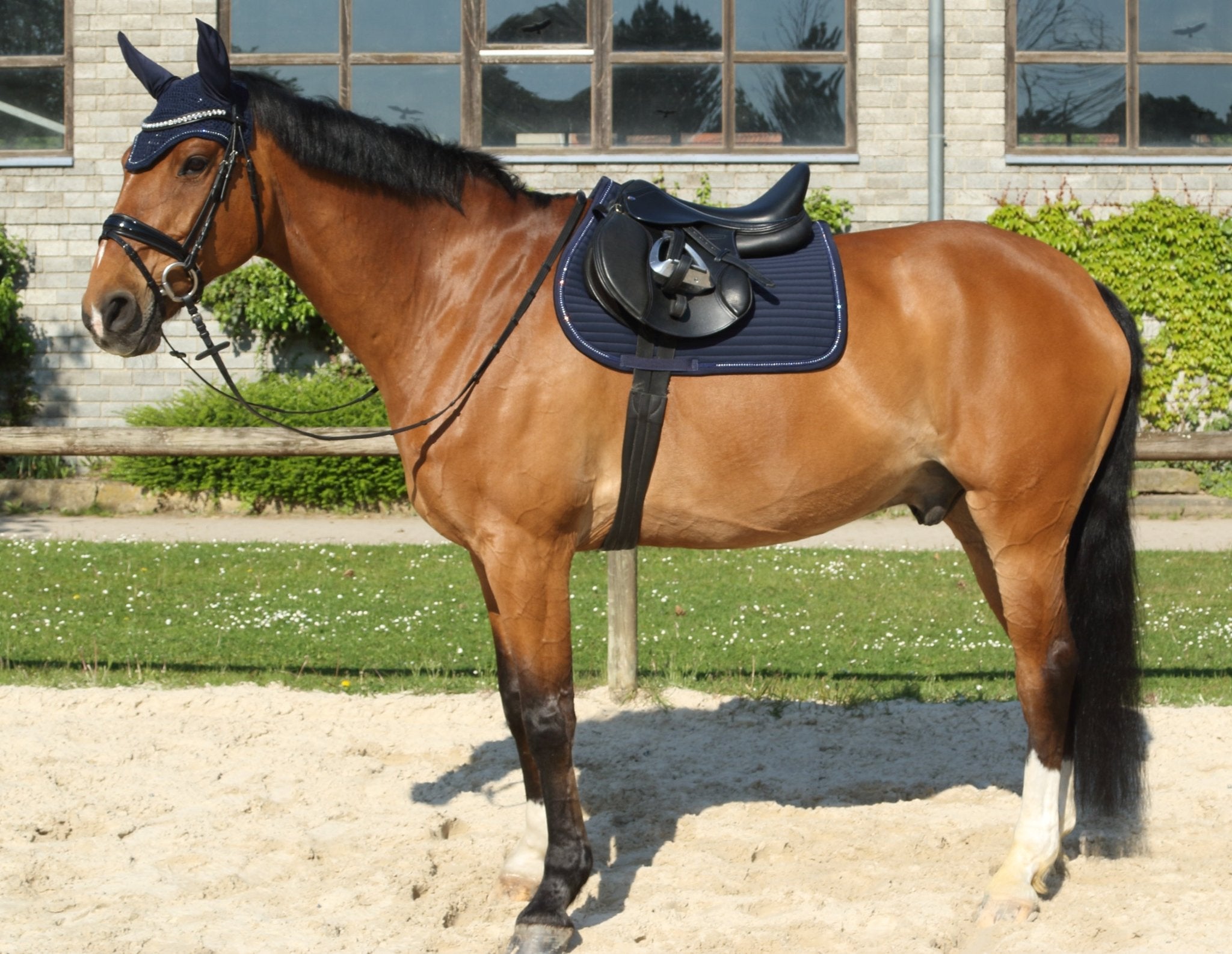 Euroriding Zadeldek Bright met Kristallen Luxe & Comfort Zadeldoeken - Maddelin Equestrian Euroriding