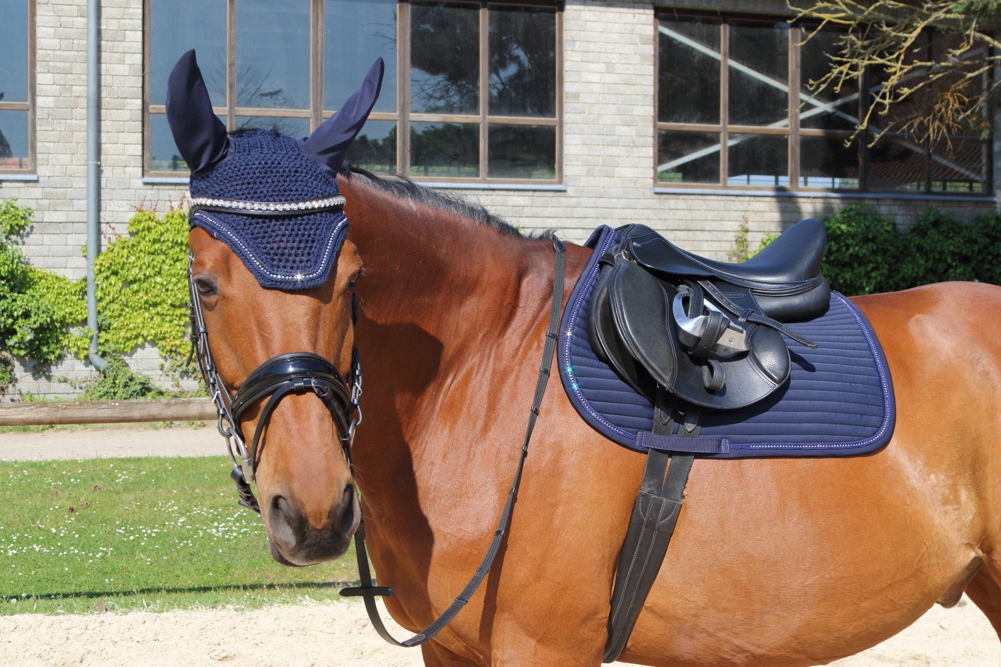 Euroriding Zadeldek Bright met Kristallen Luxe & Comfort Zadeldoeken - Maddelin Equestrian Euroriding