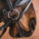 Fager Alice Titanium Onderlegtrens Onderlegtrens - Maddelin Equestrian Fager