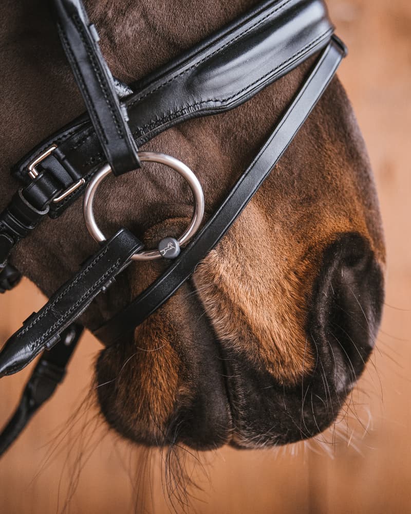 Fager Alice Titanium Onderlegtrens Onderlegtrens - Maddelin Equestrian Fager