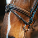 Fager Bit Lifter Toebehoren bitten - Maddelin Equestrian Fager