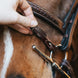 Fager Bit Lifter Toebehoren bitten - Maddelin Equestrian Fager